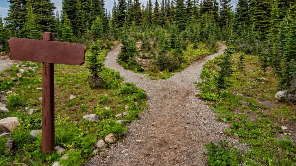Weggabelung im Wald mit Wegweiser